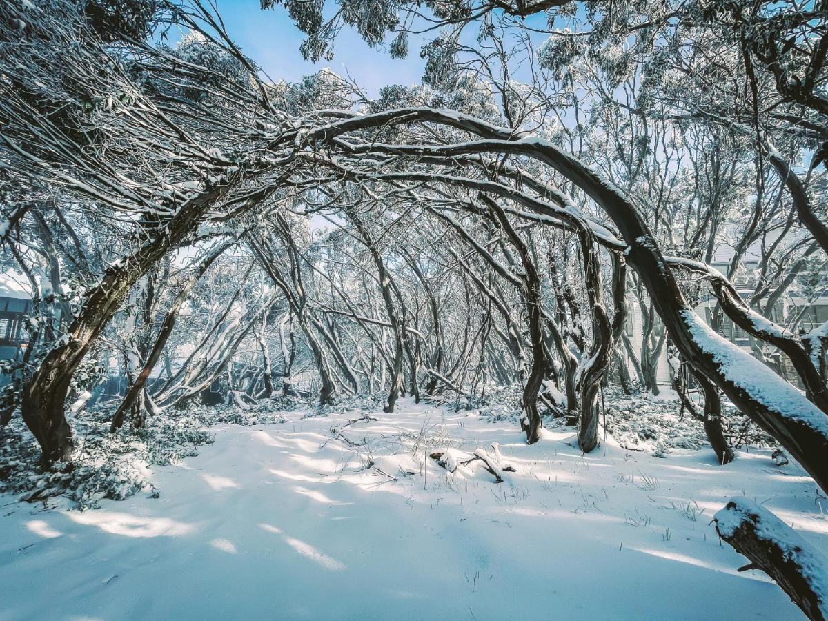 Ajax Ski Club Mount Buller Exterior foto